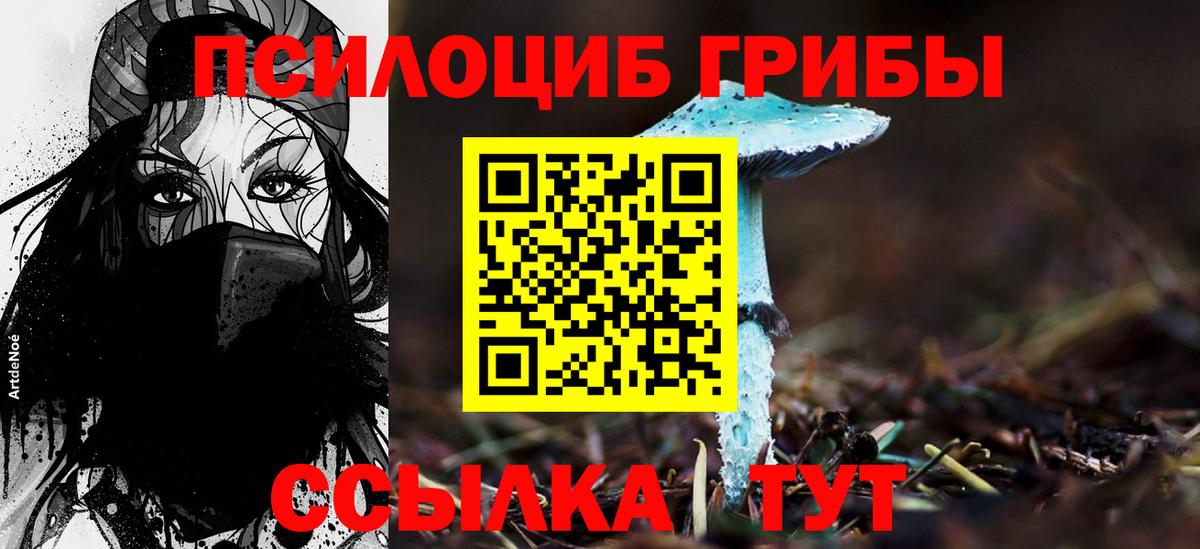 Электросталь  Галлюциногенные грибы прущие грибы  Вход с VPN 